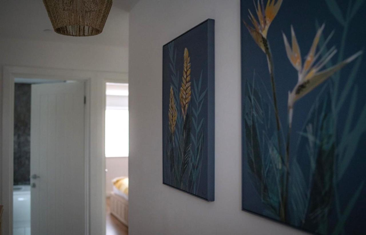 The Red House Modern Stylish Home From Home Walking Distance To Cardiff Bay And City Centre With Parking Экстерьер фото